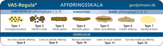 Hvad er endetarmsforstoppelse? l